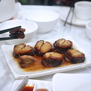 Pollo «moneda» jinqianji